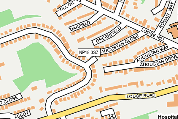 NP18 3SZ map - OS OpenMap – Local (Ordnance Survey)