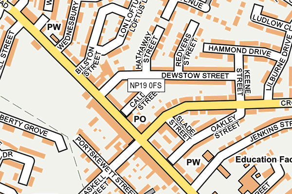 NP19 0FS map - OS OpenMap – Local (Ordnance Survey)