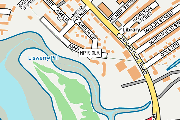 NP19 0LR map - OS OpenMap – Local (Ordnance Survey)