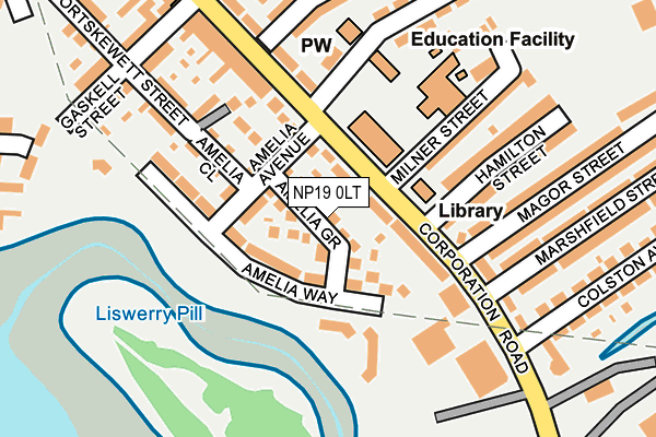 NP19 0LT map - OS OpenMap – Local (Ordnance Survey)
