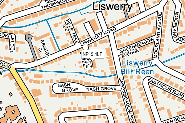 NP19 4LF map - OS OpenMap – Local (Ordnance Survey)