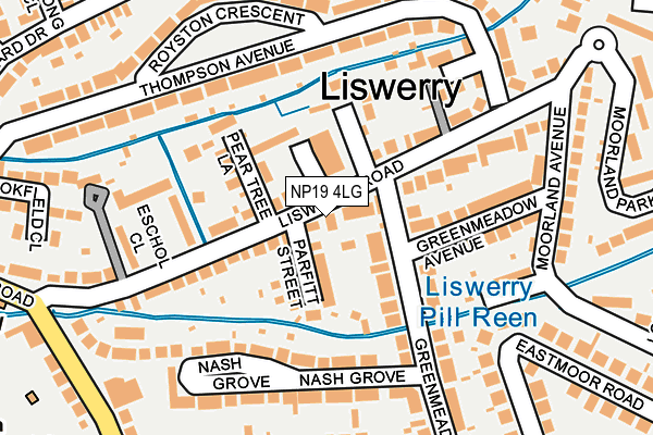 NP19 4LG map - OS OpenMap – Local (Ordnance Survey)