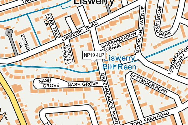 NP19 4LP map - OS OpenMap – Local (Ordnance Survey)