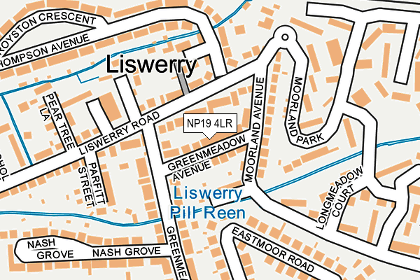 NP19 4LR map - OS OpenMap – Local (Ordnance Survey)