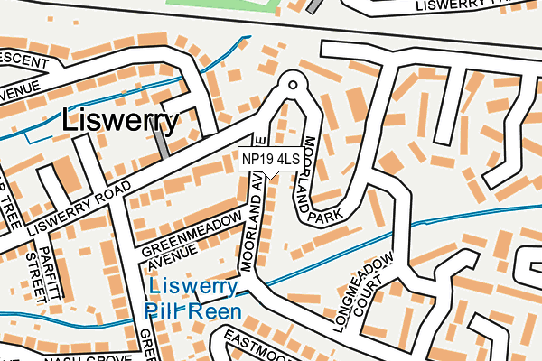 NP19 4LS map - OS OpenMap – Local (Ordnance Survey)