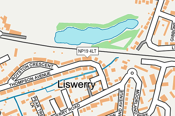 NP19 4LT map - OS OpenMap – Local (Ordnance Survey)