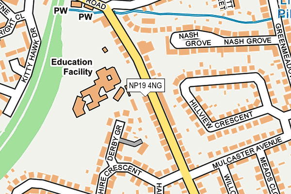 NP19 4NG map - OS OpenMap – Local (Ordnance Survey)