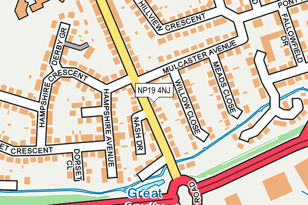 NP19 4NJ map - OS OpenMap – Local (Ordnance Survey)