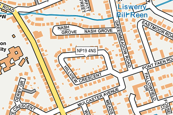 NP19 4NS map - OS OpenMap – Local (Ordnance Survey)