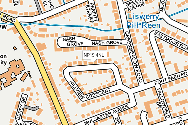 NP19 4NU map - OS OpenMap – Local (Ordnance Survey)