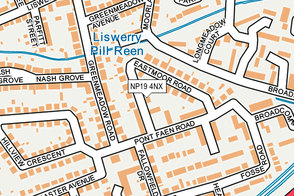 NP19 4NX map - OS OpenMap – Local (Ordnance Survey)