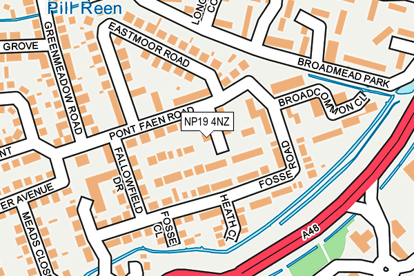 NP19 4NZ map - OS OpenMap – Local (Ordnance Survey)