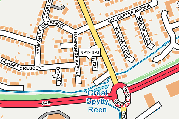 NP19 4PJ map - OS OpenMap – Local (Ordnance Survey)