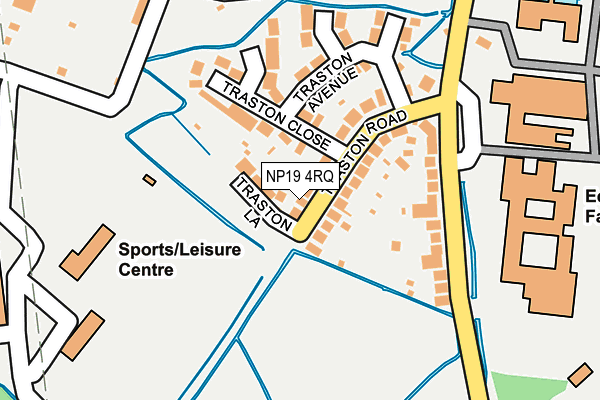 NP19 4RQ map - OS OpenMap – Local (Ordnance Survey)