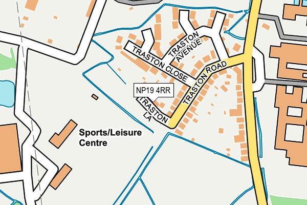 NP19 4RR map - OS OpenMap – Local (Ordnance Survey)