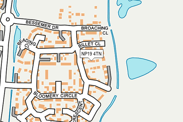 NP19 4TN map - OS OpenMap – Local (Ordnance Survey)