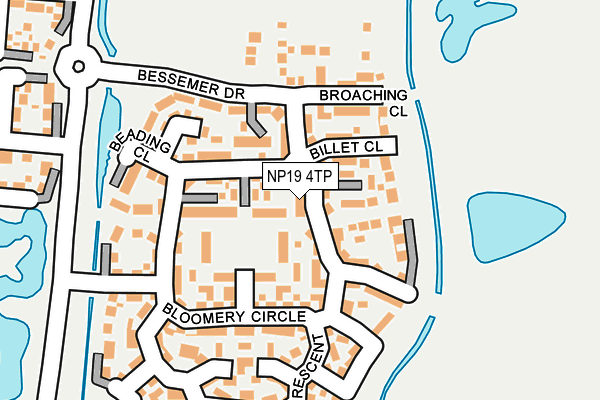 NP19 4TP map - OS OpenMap – Local (Ordnance Survey)