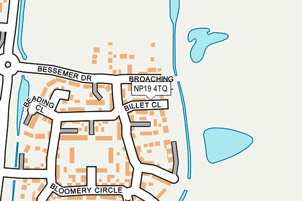 NP19 4TQ map - OS OpenMap – Local (Ordnance Survey)