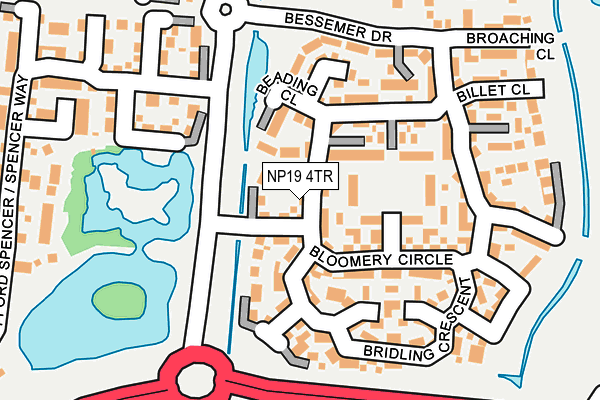 NP19 4TR map - OS OpenMap – Local (Ordnance Survey)