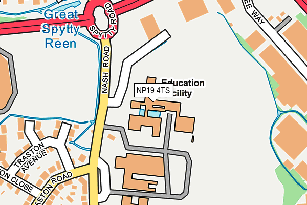NP19 4TS map - OS OpenMap – Local (Ordnance Survey)