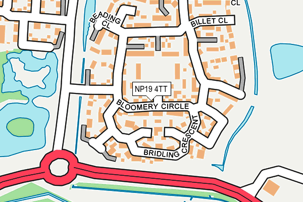 NP19 4TT map - OS OpenMap – Local (Ordnance Survey)