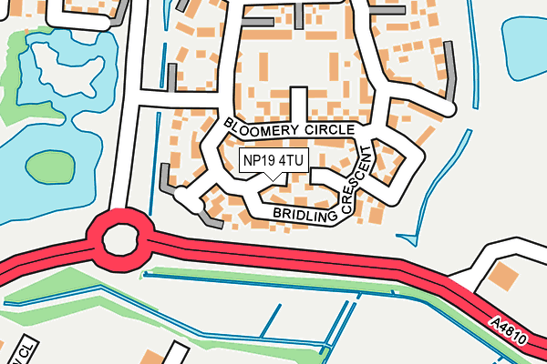 NP19 4TU map - OS OpenMap – Local (Ordnance Survey)