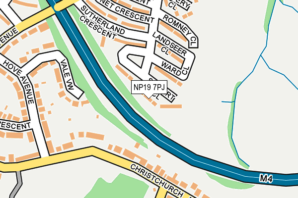 NP19 7PJ map - OS OpenMap – Local (Ordnance Survey)