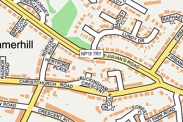 NP19 7RY map - OS OpenMap – Local (Ordnance Survey)