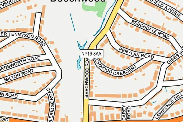 NP19 8AA map - OS OpenMap – Local (Ordnance Survey)