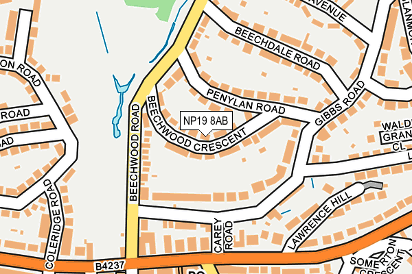 NP19 8AB map - OS OpenMap – Local (Ordnance Survey)