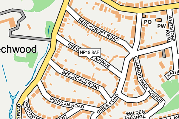 NP19 8AF map - OS OpenMap – Local (Ordnance Survey)