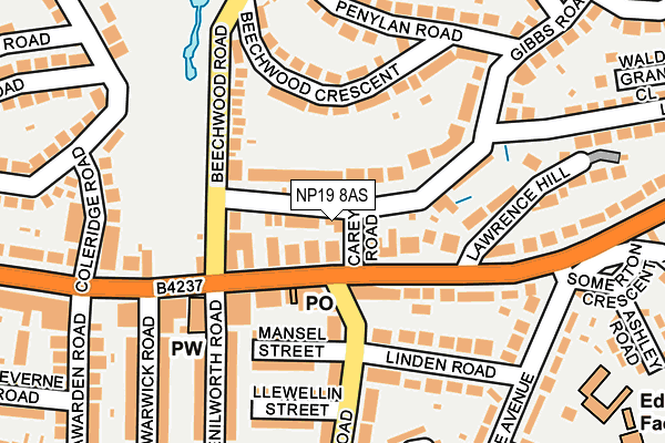 NP19 8AS map - OS OpenMap – Local (Ordnance Survey)