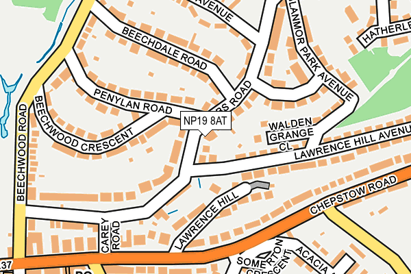 NP19 8AT map - OS OpenMap – Local (Ordnance Survey)