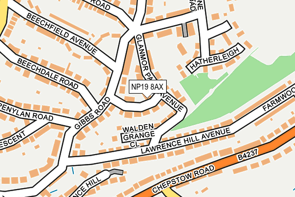 NP19 8AX map - OS OpenMap – Local (Ordnance Survey)