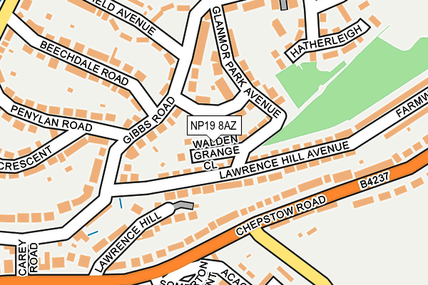 NP19 8AZ map - OS OpenMap – Local (Ordnance Survey)