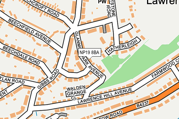 NP19 8BA map - OS OpenMap – Local (Ordnance Survey)