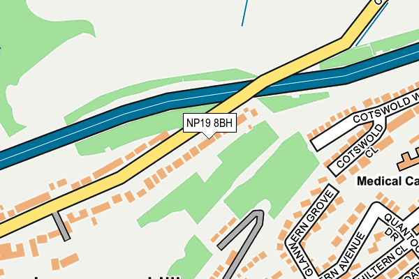 NP19 8BH map - OS OpenMap – Local (Ordnance Survey)