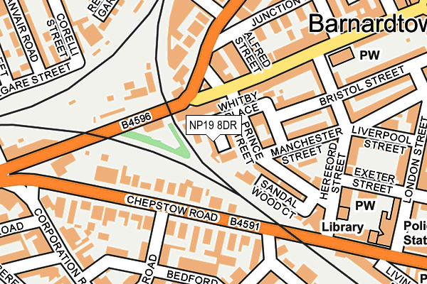 NP19 8DR map - OS OpenMap – Local (Ordnance Survey)