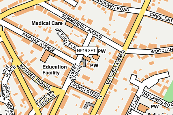 NP19 8FT map - OS OpenMap – Local (Ordnance Survey)