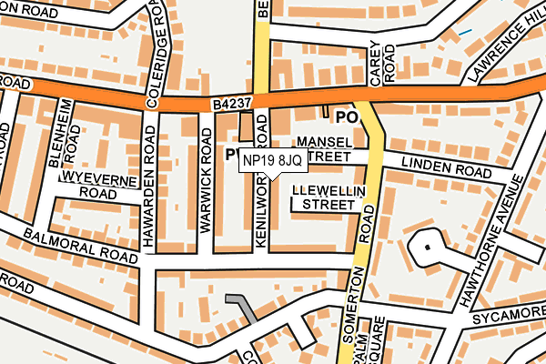 NP19 8JQ map - OS OpenMap – Local (Ordnance Survey)