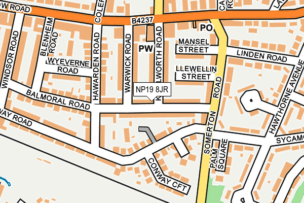 NP19 8JR map - OS OpenMap – Local (Ordnance Survey)