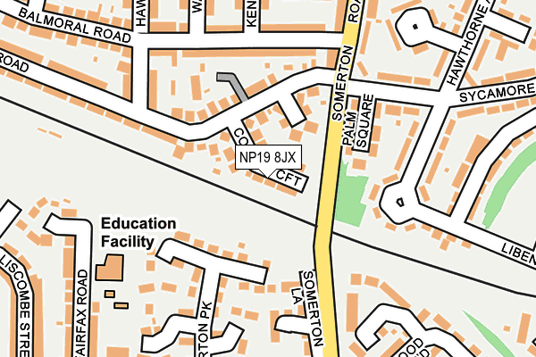 NP19 8JX map - OS OpenMap – Local (Ordnance Survey)