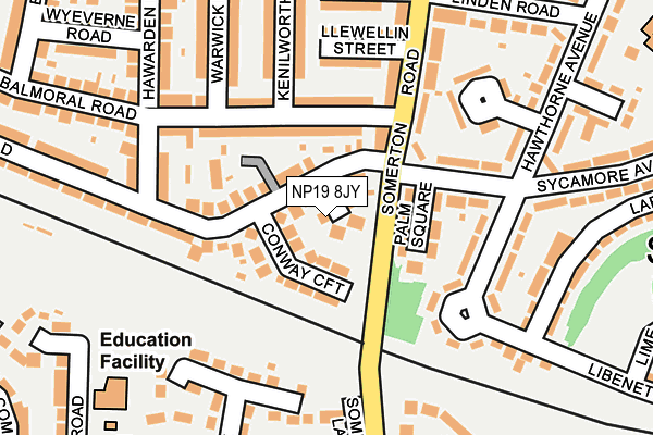 NP19 8JY map - OS OpenMap – Local (Ordnance Survey)