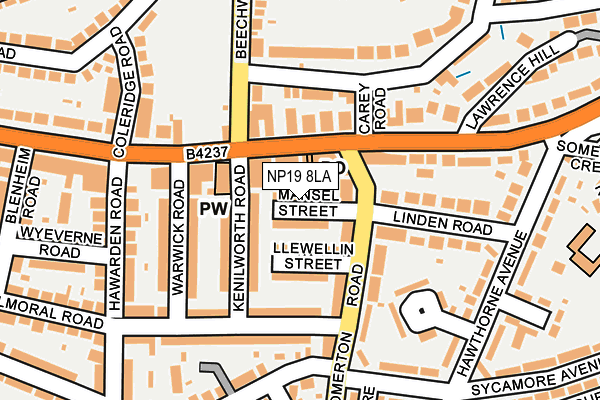NP19 8LA map - OS OpenMap – Local (Ordnance Survey)