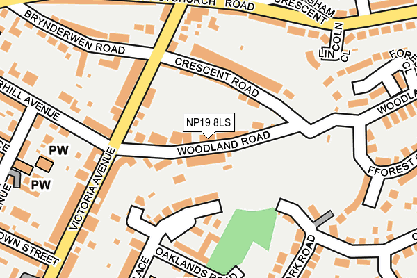 NP19 8LS map - OS OpenMap – Local (Ordnance Survey)