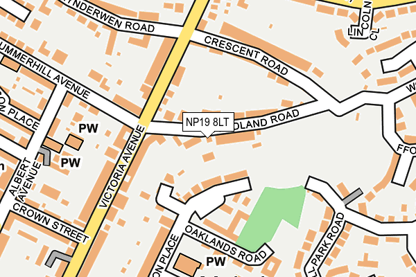 NP19 8LT map - OS OpenMap – Local (Ordnance Survey)