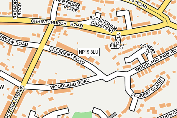 NP19 8LU map - OS OpenMap – Local (Ordnance Survey)