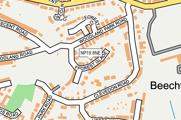 NP19 8NE map - OS OpenMap – Local (Ordnance Survey)