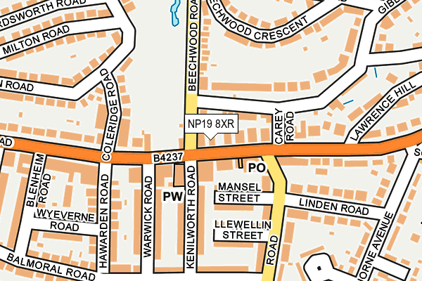 NP19 8XR map - OS OpenMap – Local (Ordnance Survey)