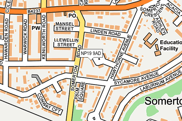 NP19 9AD map - OS OpenMap – Local (Ordnance Survey)
